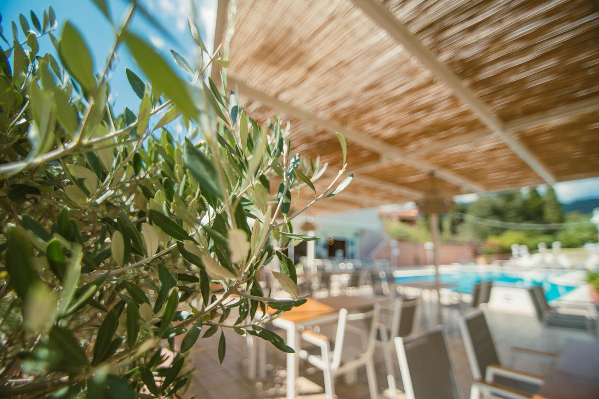 Aparthotel Dominoes Corfu Ipsos Esterno foto