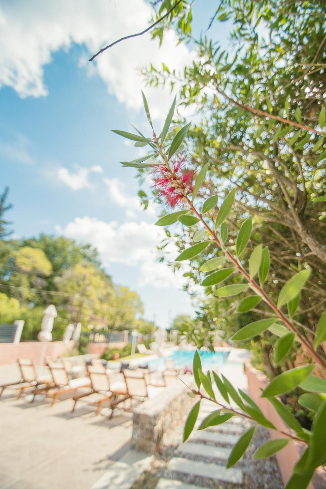 Aparthotel Dominoes Corfu Ipsos Esterno foto